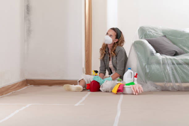Reliable Mold Remediation contractor in Holbrook, AZ by WQB Mold Removal
